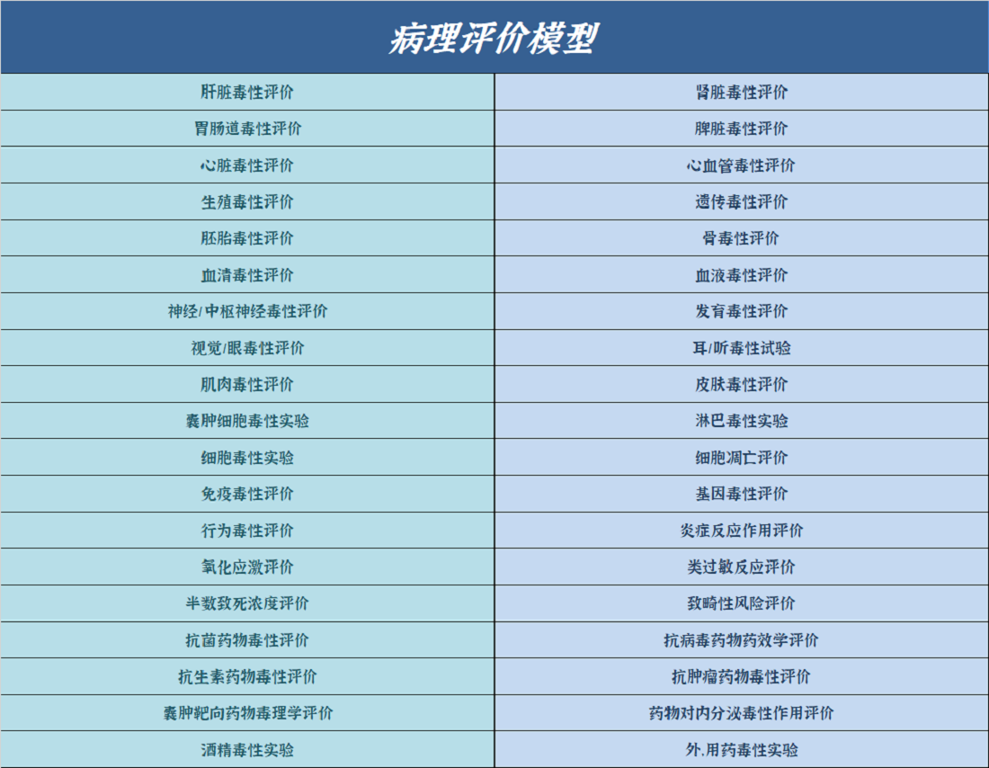 斑马鱼4.png